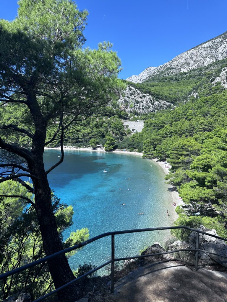 Velika Duba Beach – where pine forests meet the turquoise Adriatic. A hidden gem with crystal-clear waters and peaceful vibes.